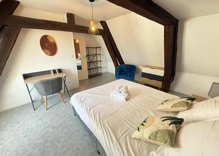 Apartment T3 Spacieux En Hyper Centre De *